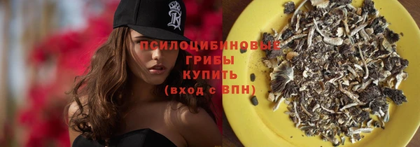 винт Дегтярск