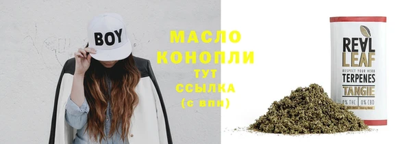 прущие грибы Дедовск