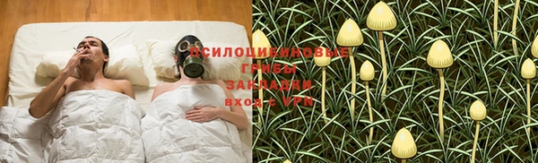 jwh Осинники
