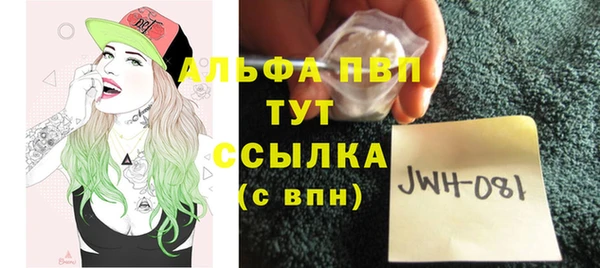 стаф Грязовец