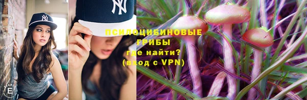 jwh Осинники