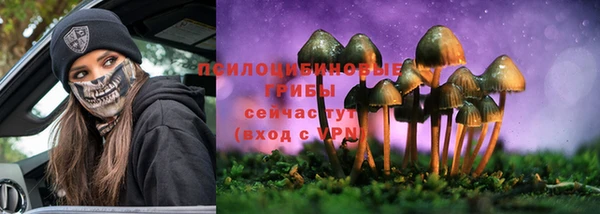 спиды Осташков