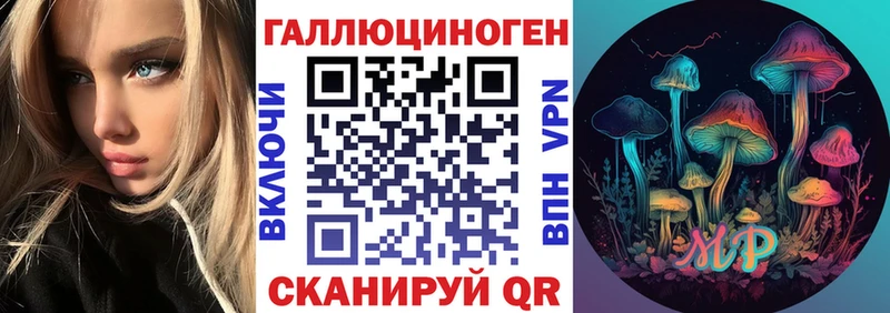 Галлюциногенные грибы Psilocybe  Покровск 